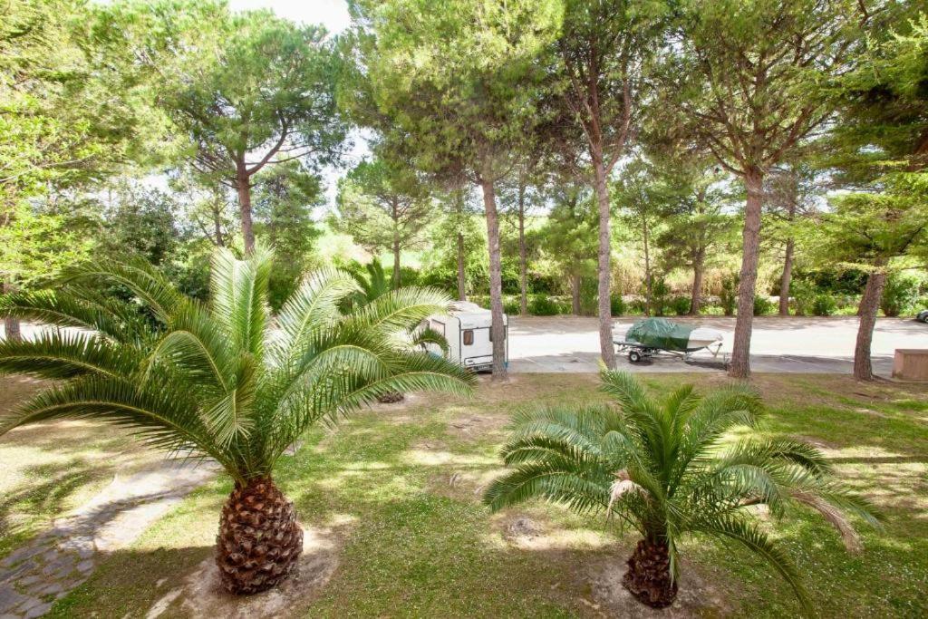 M257 - Marcelli, Bilocale In Residence Con Piscina Exterior foto
